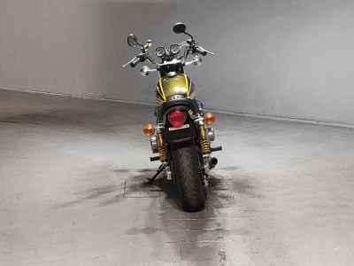 Kawasaki Z900 2023