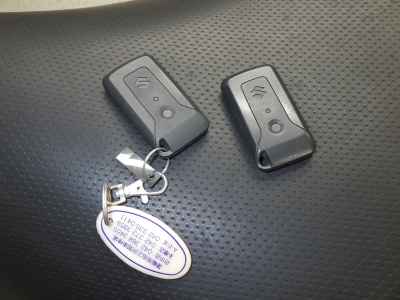 Suzuki Skywave 250SS