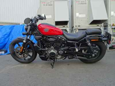 Harley-Davidson Nightster RH975 2024