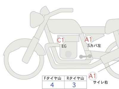 Kawasaki W800 2023