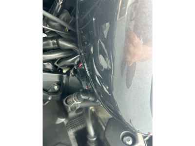 Yamaha Bolt 2022