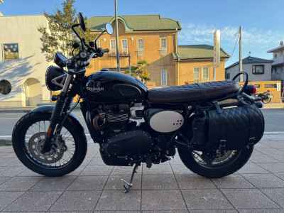 Triumph Scrambler 900 2024