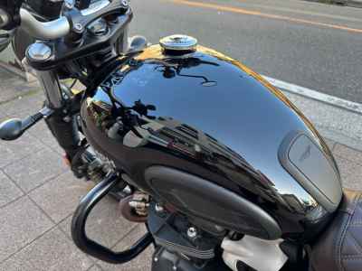 Triumph Scrambler 900 2024