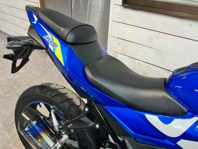 Suzuki GSX250R
