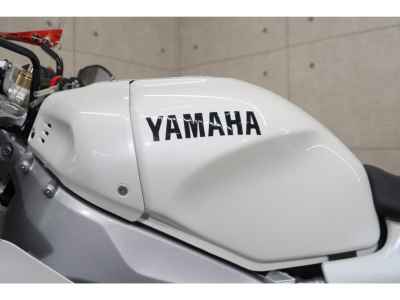 Yamaha XSR900 GP 2025