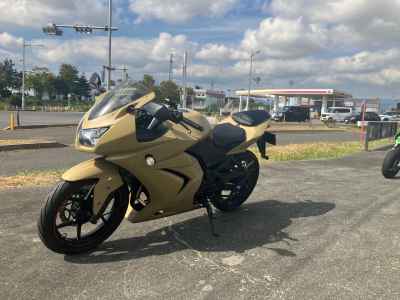 Kawasaki Ninja 250R