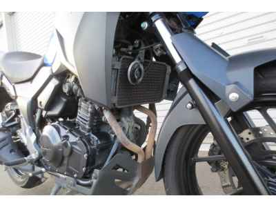 Suzuki V-Strom 250