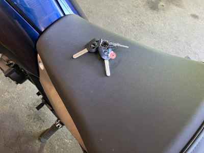 Honda Hawk 11 2022