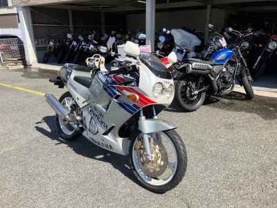 Yamaha FZR250R