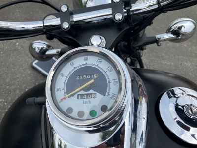 Yamaha XVS250 Drag Star