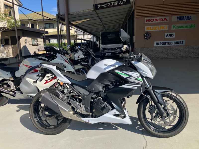 Kawasaki Z250