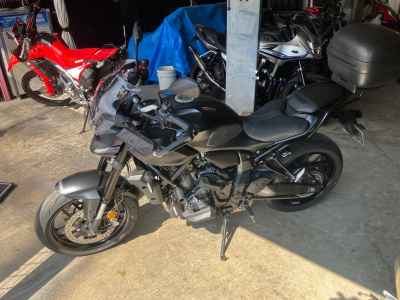 Yamaha MT-07 AMT 2025