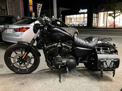 Harley-Davidson Sportster Iron XL883N 2017