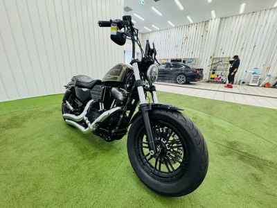 Harley-Davidson Sportster Forty-Eight XL1200X 2017