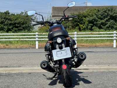 Moto Guzzi V7 III Stone 2021
