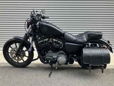 Harley-Davidson Sportster Iron XL883N 2020
