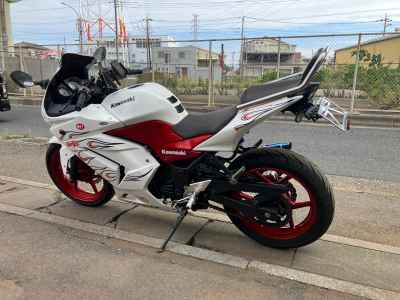 Kawasaki Ninja 250R