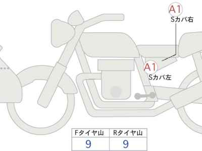 GasGas SM700 2024