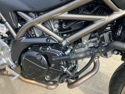 Suzuki SV650 2024