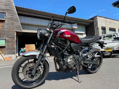 Yamaha XSR700 2019