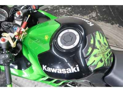 Kawasaki Ninja ZX-14R 2013