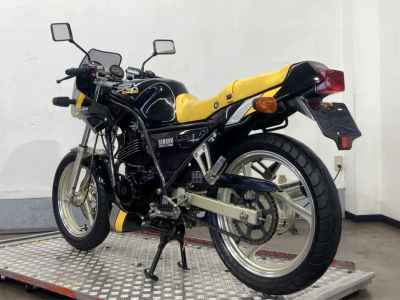 Yamaha SRX250