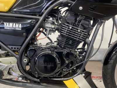 Yamaha SRX250