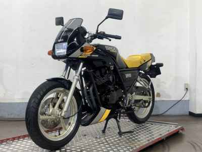 Yamaha SRX250