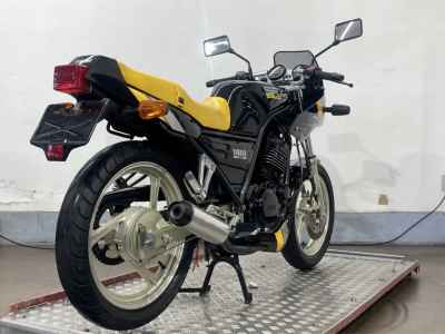 Yamaha SRX250