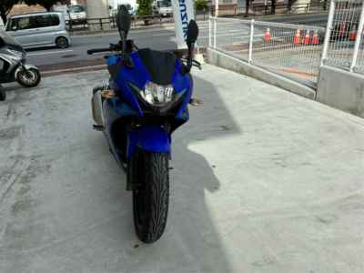 Suzuki GSX250R
