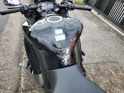 Kawasaki Ninja 1000 2017