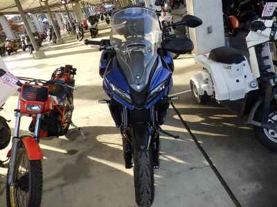 Triumph Tiger Sport 660 2024