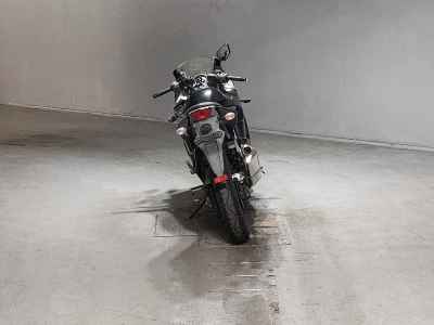Kawasaki Ninja 250R