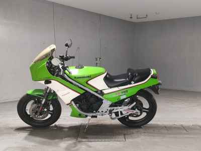 Kawasaki KR250