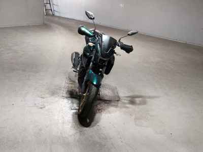 Yamaha FZS25 2021