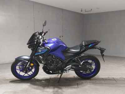 Yamaha MT-25 2022