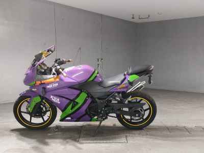 Kawasaki Ninja 250R