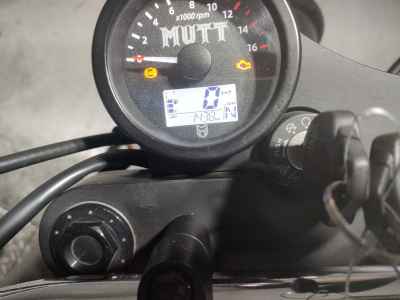 Mutt Hilts 250 2022