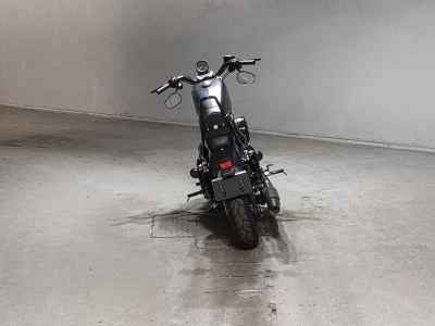Harley-Davidson Sportster Iron XL883N 2017