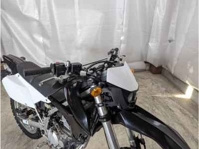 Kawasaki KLX250