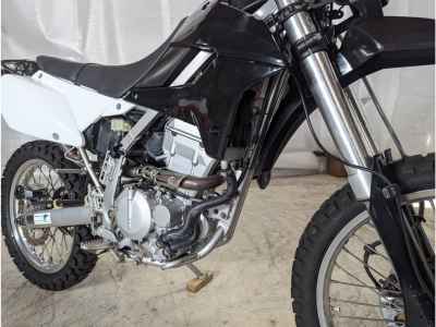 Kawasaki KLX250
