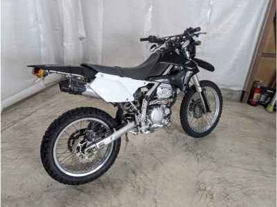 Kawasaki KLX250