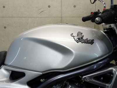Kawasaki Balius ZR250