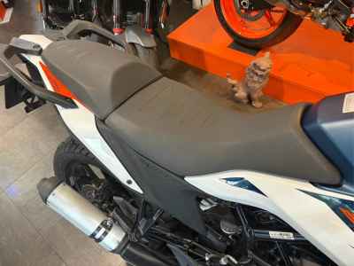 KTM 250 Adventure 2023