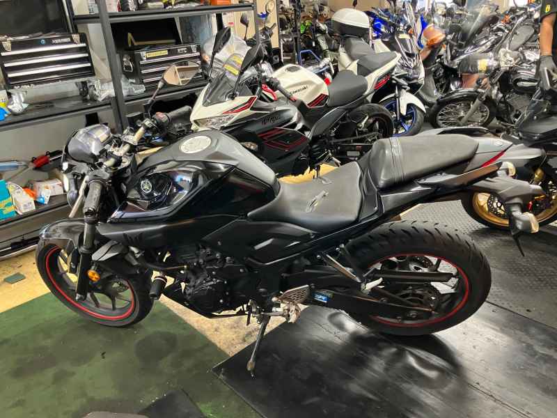 Yamaha MT-25 2017