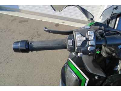 Kawasaki Ninja 1000SX 2024