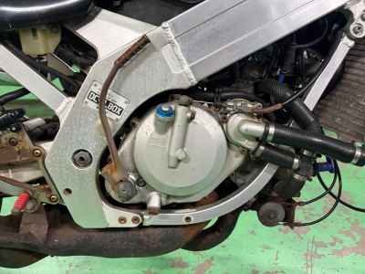 Suzuki RGV250