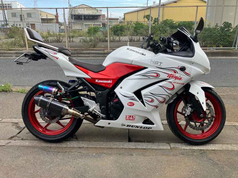 Kawasaki Ninja 250R