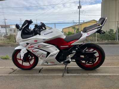 Kawasaki Ninja 250R