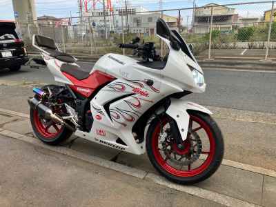 Kawasaki Ninja 250R